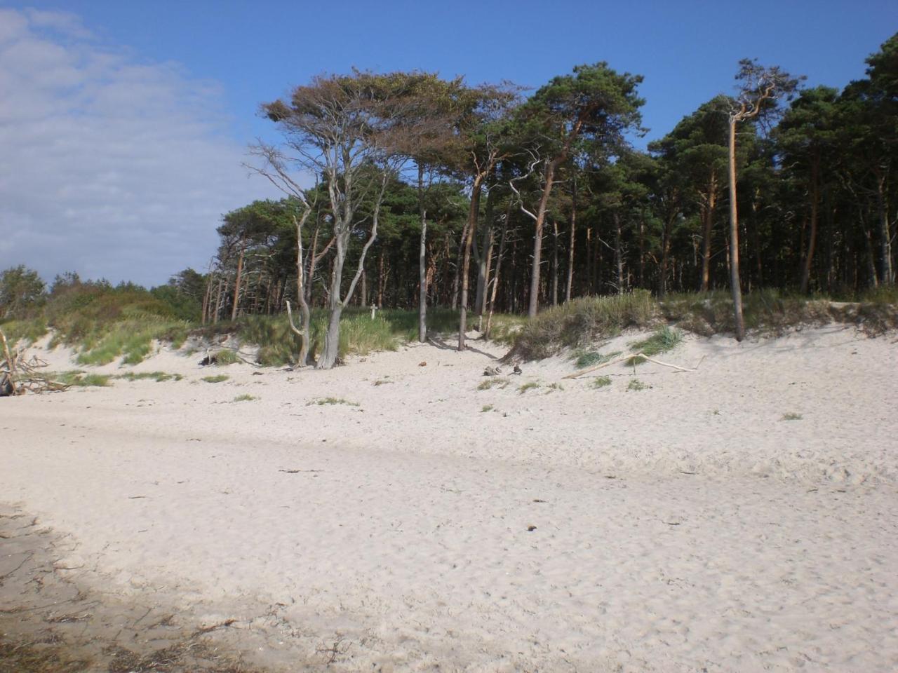 Achtern - Diek - Am Strand ซิงสท์ ภายนอก รูปภาพ