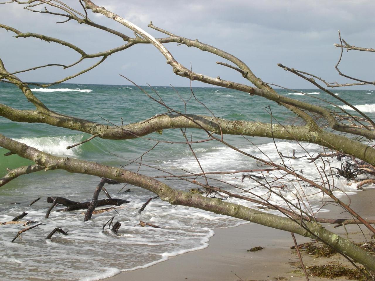 Achtern - Diek - Am Strand ซิงสท์ ภายนอก รูปภาพ