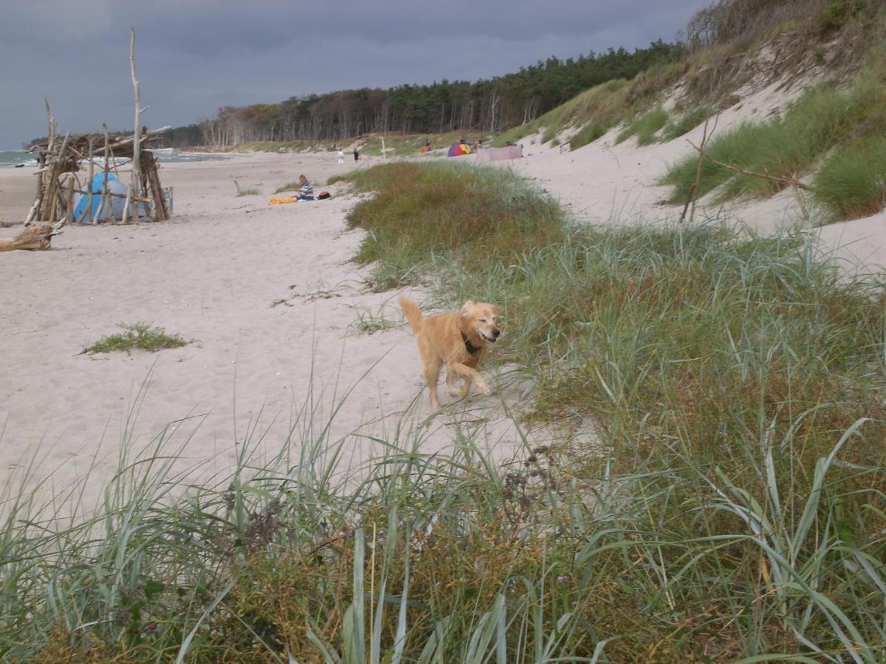 Achtern - Diek - Am Strand ซิงสท์ ภายนอก รูปภาพ